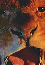 Killer Lions, the Ghost and the Darkness (1996)