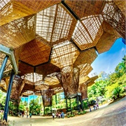 Botanical Gardens, Medellin, Antioquia