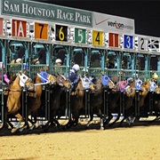 Sam Houston Race Park