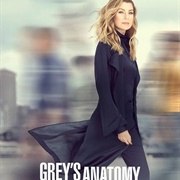 Grey&#39;s Anatomy Season 16