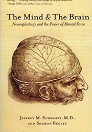 The Mind and the Brain: Neuroplasticity and the Power of Mental Force (Jeffery M. Schwartz)