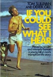 If You Could See What I Hear