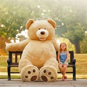 Win a Gigant Teddy Bear