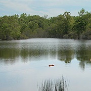 Fort Boggy State Park, Texas