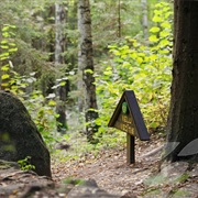 Pokaiņu Forest