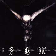 Sleepytime Gorilla Museum - Live (2003)