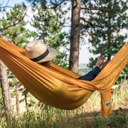 In a Hammock