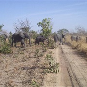Nazinga Game Reserve, Burkina Faso