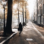 Take a Foggy Morning Walk