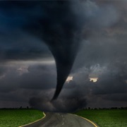 Survive a Tornado