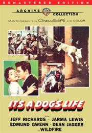 It's a Dog's Life - Wildfire the Dog