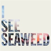 I See Seaweed - The Drones