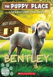Puppy Place: Bentley (Ellen Miles)