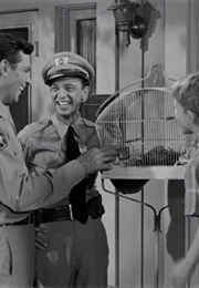 The Andy Griffith Show: "Opie the Birdman" (1963)