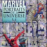 Marvel Portraits of a Universe