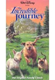 The Incredible Journey