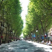Passeig D'es Born, Palma De Mallorca