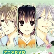 Sakura Taisen: Kanadegumi