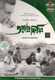 Days and Nights in the Forest (Satyajit Ray)