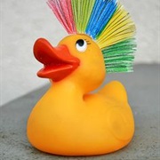 Disco Duckie