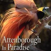 Attenborough in Paradise