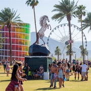 Stage Coach Festival