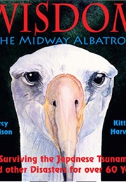 Wisdom, the Midway Albatross (Darcy Pattison)