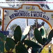 17 San Pedro Atocpan