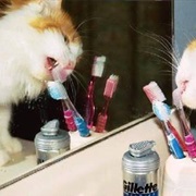 Chewing Your Toothbrush