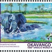 Botswana--Animals of the Okavango Delta - The 1000th UNESCO World Heritage Site