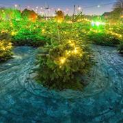 Get Lost in the Vauxhall Christmas Tree Maze.