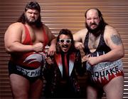 The Natural Disasters