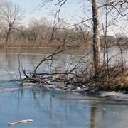 Tishomingo National Wildlife Refuge