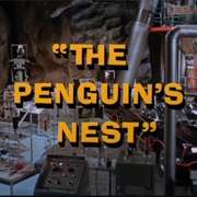 The Penguin's Nest