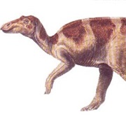 Maiasaura