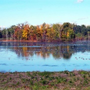 Iroquois National Wildlife Refuge
