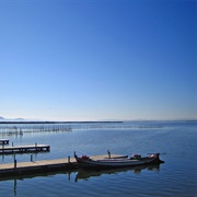 Mirador El Pujol, La Albufera