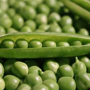 Petit Pois