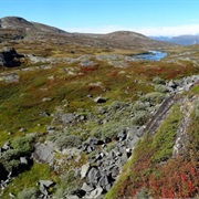 Hardangervidda National Park, Norway