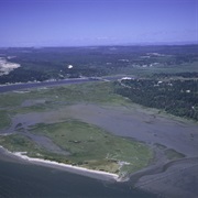 Bandon Marsh National Wildlife Refuge