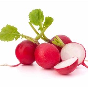 Radishes
