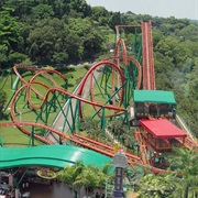 Insane Speed (Janfusun Fancyworld, Taiwan)