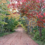Appin Road, PEI Canada