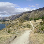 Glendhu Bay Track