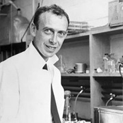 James D Watson