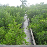 Key Largo Hammock Botonical State Park