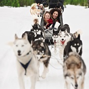 Go Dogsledding (Anywhere in Canada)