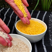 Golden Rice