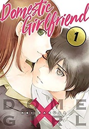 Domestic Girlfriend Vol. 1 (Kei Sasuga)