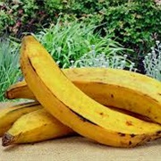 Plantains